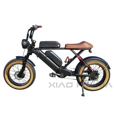 China Vintage 73 Ebike 20