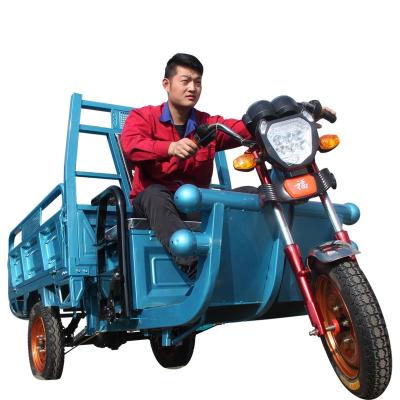 China Transport Cargo Factory Open Body 600KG Max Loading Electric Motorized Cargo Tricycle for sale