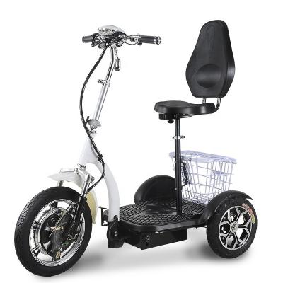 China Aluminum Alloy Safety 3 Wheel Electric Bicycle Trike 36V1000W Adult Electric Tricycle for sale