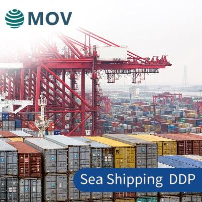 China China logistics services cheap sea freight shipping services DDU DDP shipping rates from china to usa international door to door for sale