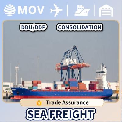 China China To USA Forwarder Sea Freight Forwarder Shipping Cost China To Italy Spain UK Europe Door To Door for sale