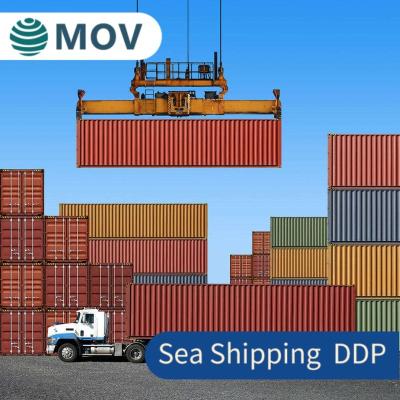 China Top 10 Professional Logistics Company DDP Door To Door Sea Shipping From China To USA UAE Door To Door for sale