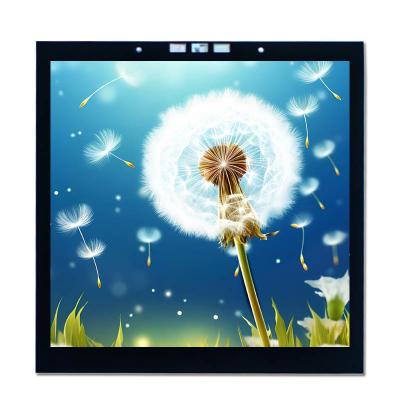 China 3.95 Zoll Kapazitive IPS LCD Touchscreen Anzeige 350 Nits Hohe Helligkeit zu verkaufen