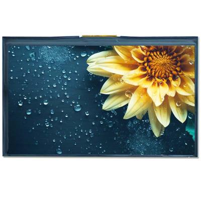 China Medical 7 Inch LCD Display Panel IPS LVDS Interface Brightness 650 Nits for sale