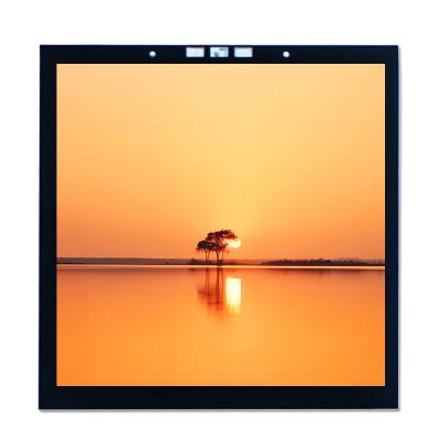 China 3.95 Inch Interface MIPI LCD Display Capacitive Touch Screen Display Manufacturers for sale