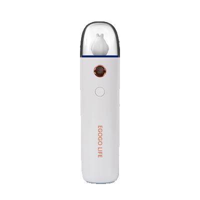 China Outdoor Nano Facial Mist Portable Mini Sprayer Ionic Face Steamer And Massager For Skin Care for sale