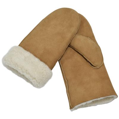 China Leather Winter Hand Gloves Winter Gloves Women Mittens Single Fur Sheepskin Winter Gloves for sale