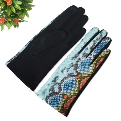 China High Quality Comfortable Women's Gloves Fashion Winter Gloves For Women Character Warm Gloves For Women for sale