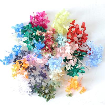 China Anna Hydrangea Flowers Preserved Flower 1g/bag for sale