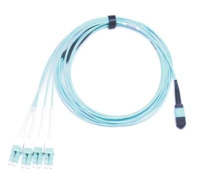 Chine 8 pourpre optique de la SORTANCE OM2 de Sc LSZH 8F de la fibre multimode MPO MPO LC de noyau à vendre