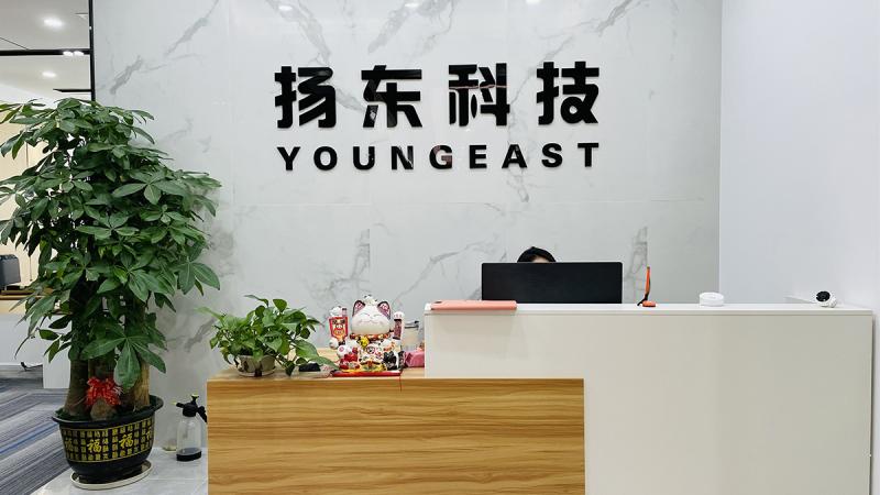 Verified China supplier - Shenzhen Youngeast Technology Co., Ltd.