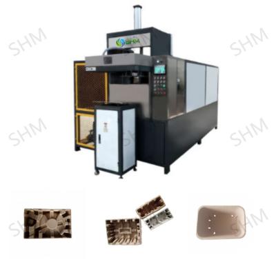 China Small Molded Pulp Egg Carton Maker Automatic Egg Carton Manufacturing Machine for sale