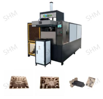 China Small Egg Carton Making Machine Waste Paper Egg Tray Making Machine for sale