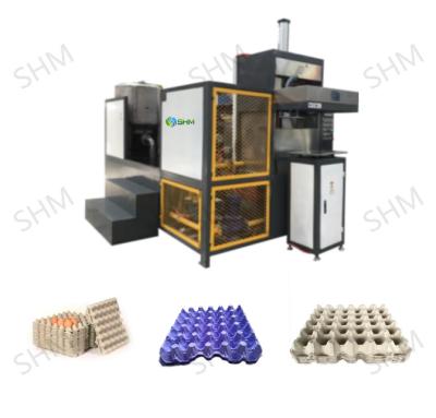 China Small Scale Egg Carton Making Machine Paper Egg Tray Manufacturing for sale