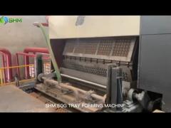 OEM / ODM Egg Tray Making Machine 220V Egg Tray Maker Automatic