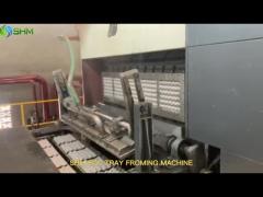 Rotary Paper Egg Box Forming Machine With Automatic Cleaning System