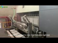 3Automated Paper Egg Box Machine Electrical Feeding System ISO9001