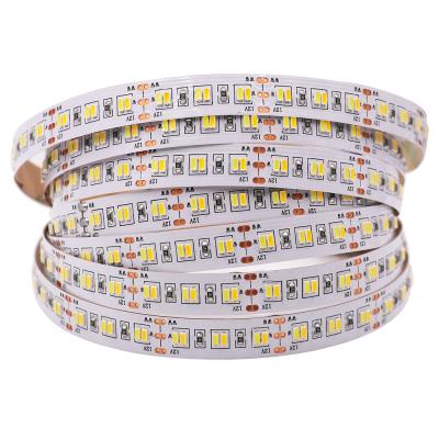 China Residential SMD 3014 LED Strips Flexible Light 5M 224LEDs/m Home Decoration Lighting Strip DC12V LED CCT LED Lights Strip No Waterproof IP20 for sale