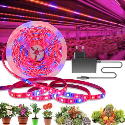 China Full Spectrum LANDSCAPE Flower Phyto Lamp Waterproof Greenhouse Grow Light +Power Adapter 5050 LED Hydroponic Plant Grow Strip Lights for sale