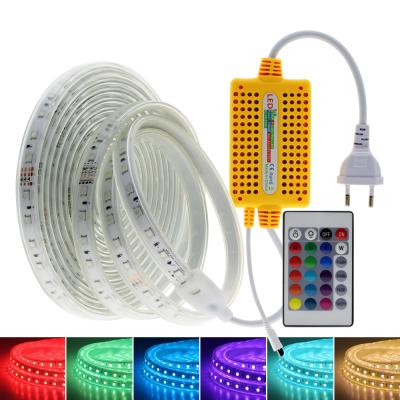 China Residential High Brightness 5050 Flexible Strip Led Strip Light Waterproof IP67 Ribbon With 24key Remote Controller AC220V RGB Led Strip 5050 for sale