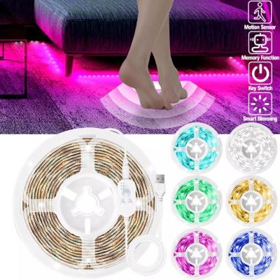 China LANDSCAPE USB DC5V LED Strip Light Waterproof Flexible Black IP65 Warm Blue White USB Strips TV Background Light LED Strip 2835 for sale