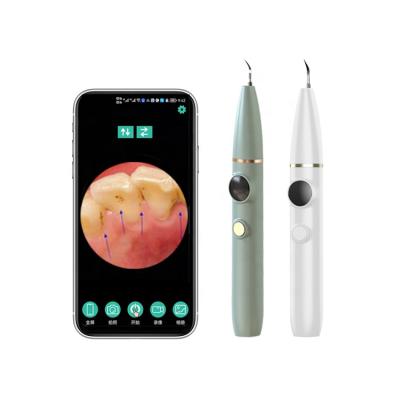 China Portable Wireless Rechargeable Dental Calculus Remover Tooth Stain Remover Calculus Remover Camera Teeth Scaler for sale