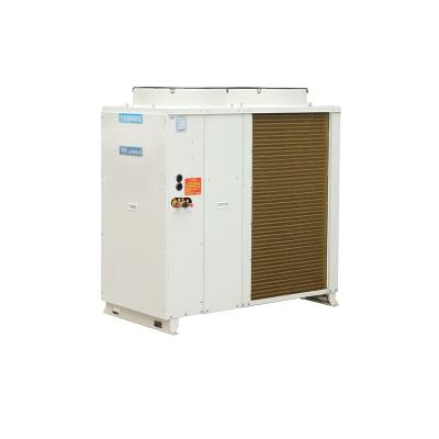 China New High Quality Cold Storage Room Freezer Room Electricity Box Low Temperature Condensing Unit For Home Use for sale