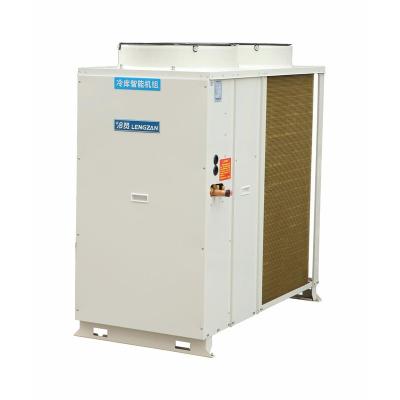 China Low Temperature New Cold Storage Room Freezer Room Factory Direct China Heat Pump Freezer For Deli Condensing Unit for sale