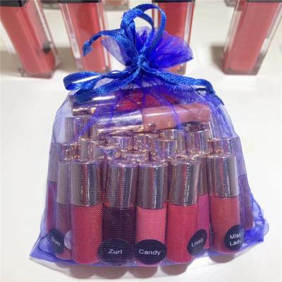 China Waterproof 2021 hot items waterproof natural lip gloss make up lip gloss fashionable women lip gloss wholesale for sale