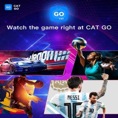 China Digibox 4k Android TV Box 4 GB de RAM 64 GB de ROM Digibox inteligente 2T2R Antena en venta