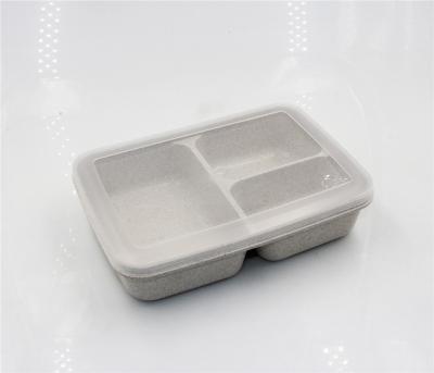 China Freshness Preservation Wholesale BPA Free Plastic 3-Compartment Bento Lunch Box Airtight Container Set for sale