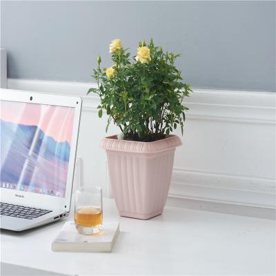 China Modern Indoor Vegetable Plant Square Pot Flower Grass Window Planter Plastic Box for sale