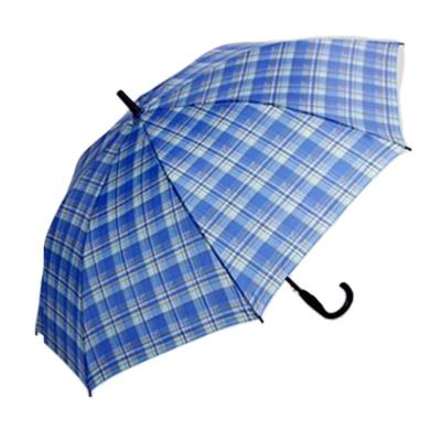 China 2020 Paradise Traditional High Quality Individuality Adjustable Walking Stick Umbrella for sale