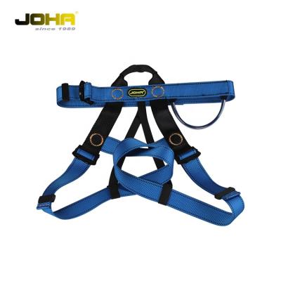 China High Tenacity Polyester CE Approved One Front Buckle High Strength Half Body Safety Harness for sale