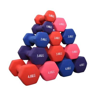 China Solid Cast Factory Custom Womens Use Neoprene Dipping Walking Dumbbell Dumbbell For Sale for sale