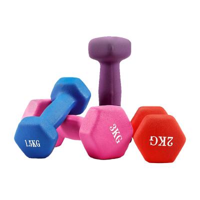 China Wholesale Solid Cast Iron 0.5 - 10kg Dumbbell Set Portable Colorful Gym Fitness Training Equipment Rubber Hex Dumbbell for sale