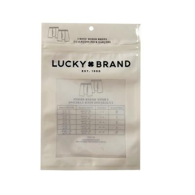 China PET / CPP Custom Printed Zip Lock Bags Plastic Packaging Bags voor kleding en schoenen Te koop