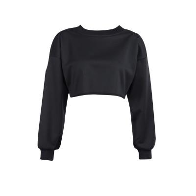 China Anti-wrinkle Design Newest Long Sleeve Women Fitted Crop Top Loose For Women Crop for sale