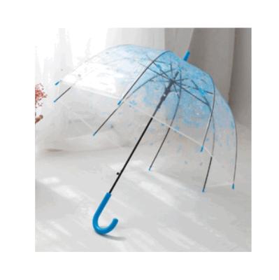 China Fashionable Transparent Female Sakura Princess Romantic Umbrella PVC Umbrella for sale