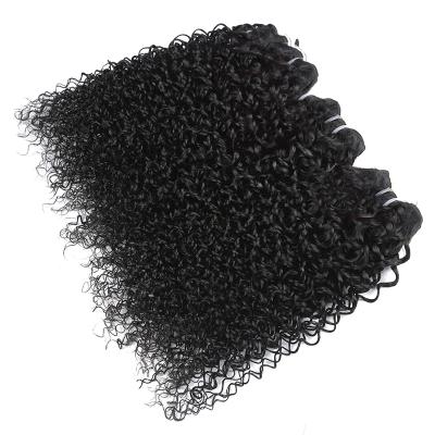 China All Drawn Wave Hair Supplier Double Textures Hair Wig Indian Hair Extension Curly Weft for sale