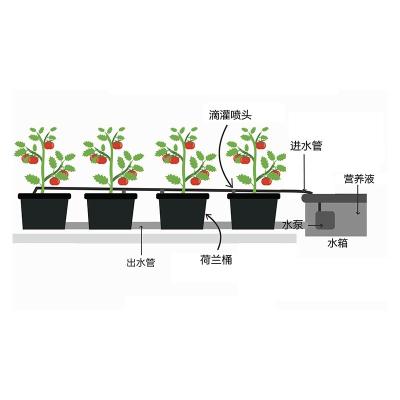 China Corrosion Resistance and Resistance Production Deep Water Culture Garden Bucket Aging Hydroponic Dutch Barrels for Tomato/Potato Farming for sale