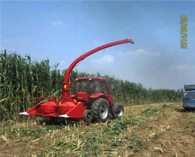 China Sweet sorghum fodder harvest speed drive high quality sweet sorghum silage harvest for sale