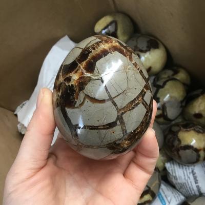 China Casual/Sporting Natural Tortoise Shell Stone Play Pieces Tortoise Shell Stone Decoration Moire Stone Yoni Egg for sale