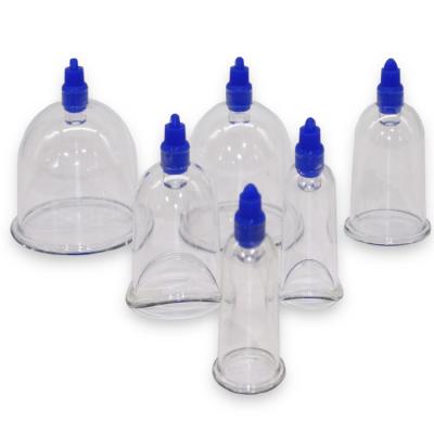 China Transparent Professional Chinese Acupoint PC Cupping Set for Sterilizing and Massage for sale