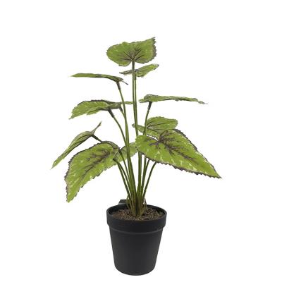 China New Dill Bonsai 37cm Leaves High Simulation Artificial Bamboo Plants Decoration Mini Simple Literary Green Home Indoor Indoor Home Decor Plant for sale