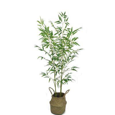 China Indoor And Outdoor Place Minimalist 150cm Artificial Bamboo Bonsai Plants for sale