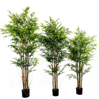 China Minimalist Artificial Silk Bamboo Plant Bamboo Tree Potted Plant for sale