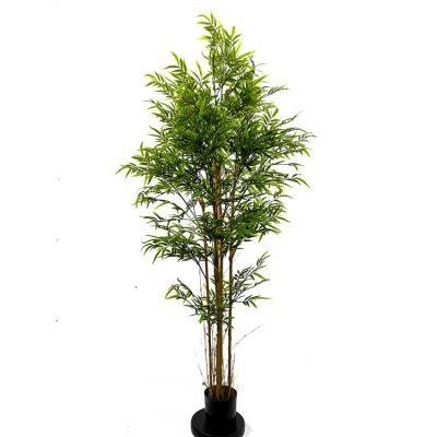 China Environmental Chinese Artificial Bamboo Potted Plants Plastic Bamboo Tree For Decoration for sale