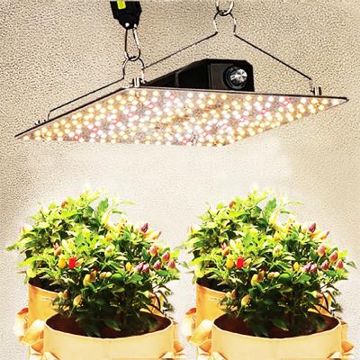 China Dimming Button 50%/75%/100% ETL DLC Led Grow Light Bar Full Spectrum Vertical Grow Systems Indoor Grow Herbal Medicines Led Grow Light Board for sale