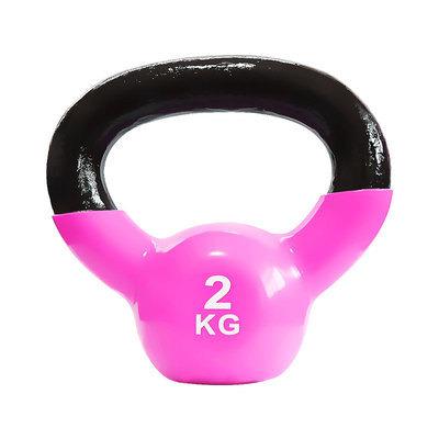 China High quality and durable hot sale plastic hand kettle dip bell with hand feel and high quality fitness muscle training for sale